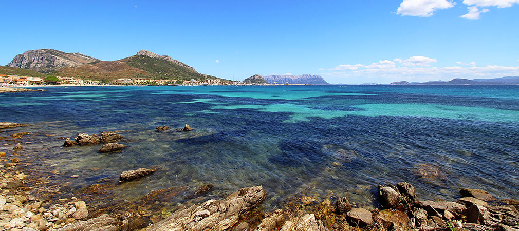 porto di olbia grimaldi lines